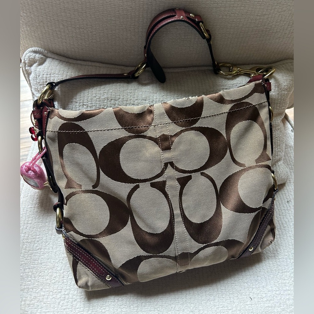 Coach Carly Hobo Bag